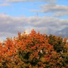2012/10 - Herbstzeit