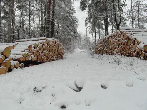 2013/03 – Winterlandschaft mit Erwartung auf den Frühling.