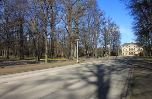 2014/02 - Krokusse und Winterlinge am Palais des „Großen Garten“ von Dresden.