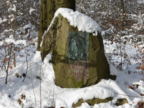 2017/01 - Winterwanderung in der Dresdner Heide.