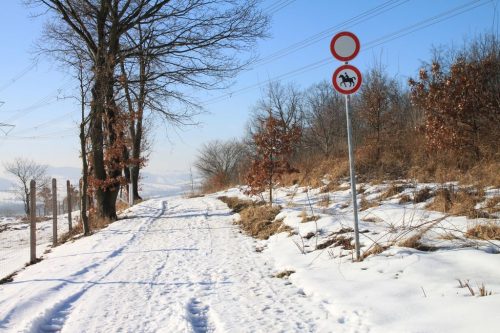 2017/02 - Eine Winterlandschaft zu Fuß erkunden.