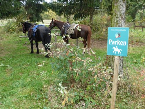 2017/10 - Ein Parkplatz auch für Pferde.