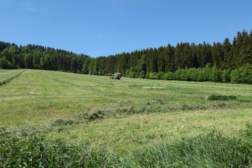 2018/05 – Wandern im Erzgebirge. (Crottendorf 3)