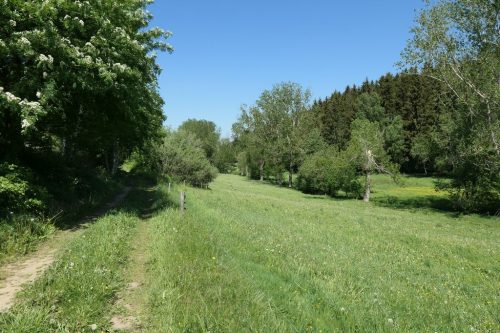 2018/05 – Wandern im Erzgebirge. (Crottendorf 2)