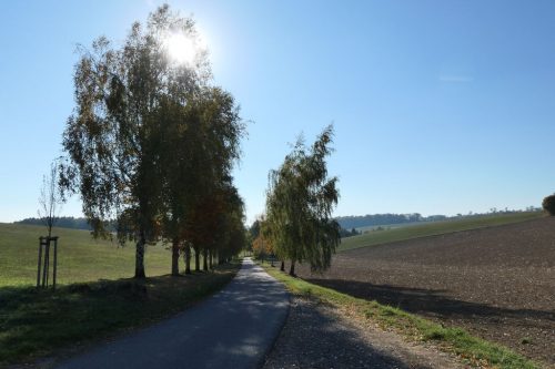 2018/10 - Kleine Herbstwanderung [4]