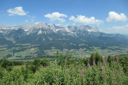 2019/07 - Blick zum "Wilden Kaiser" Gebirge.